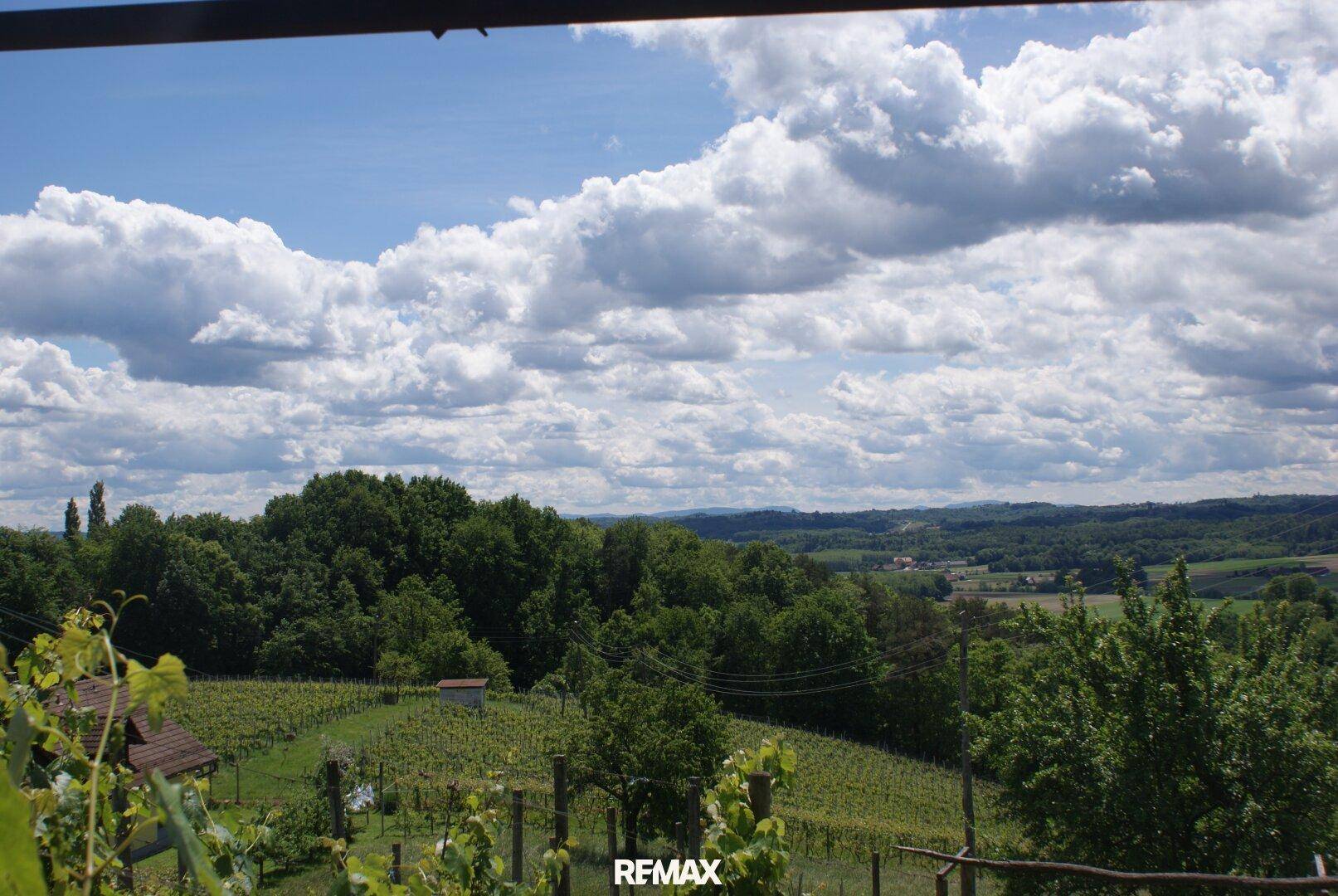 Weitläufiger Panoramablick über Weinberge und grüne Hügel unter einem bewölkten Himmel.