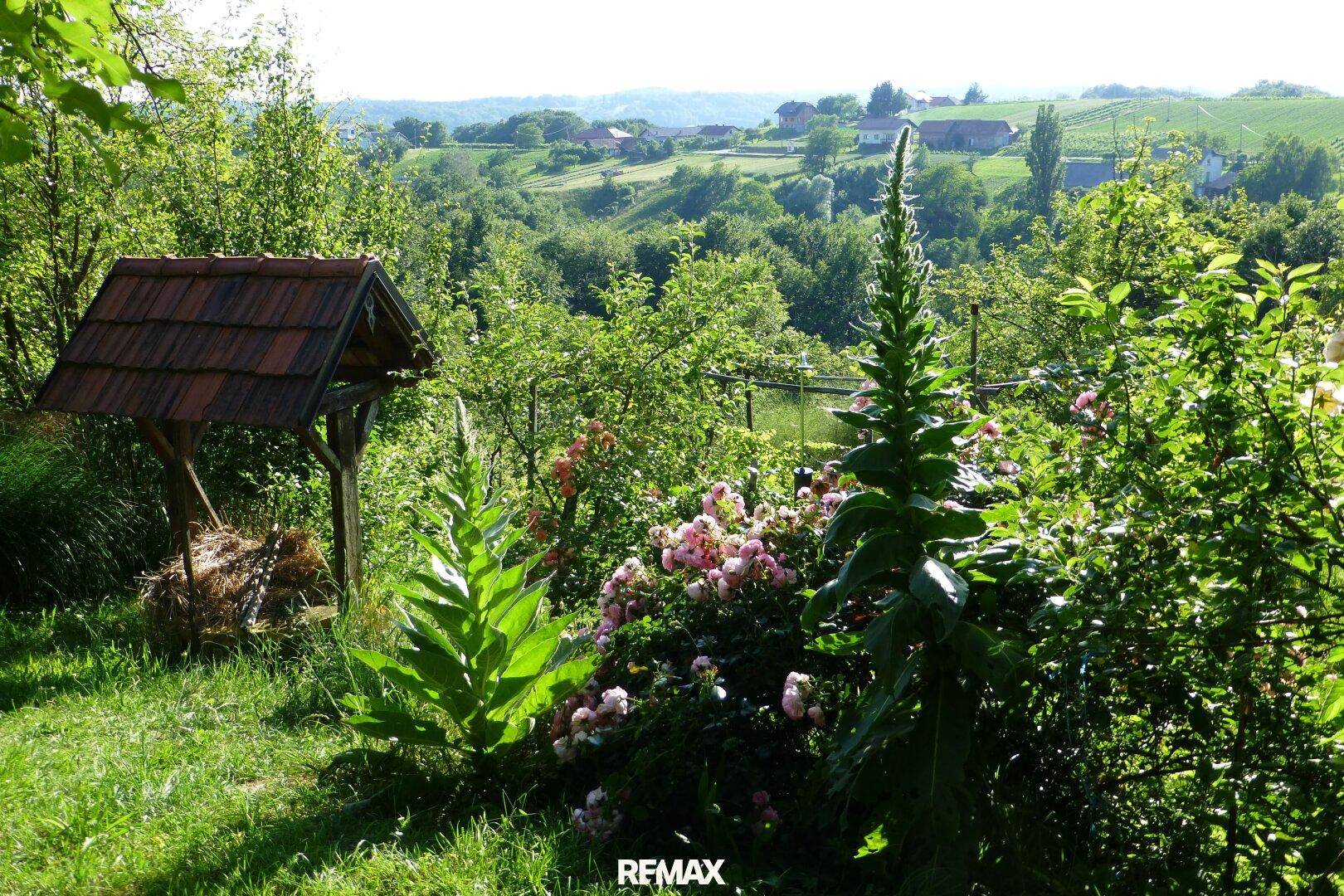 Üppiger grüner Garten mit blühenden Rosen und einem traditionellen Brunnen, mit weitem Blick ins Tal.