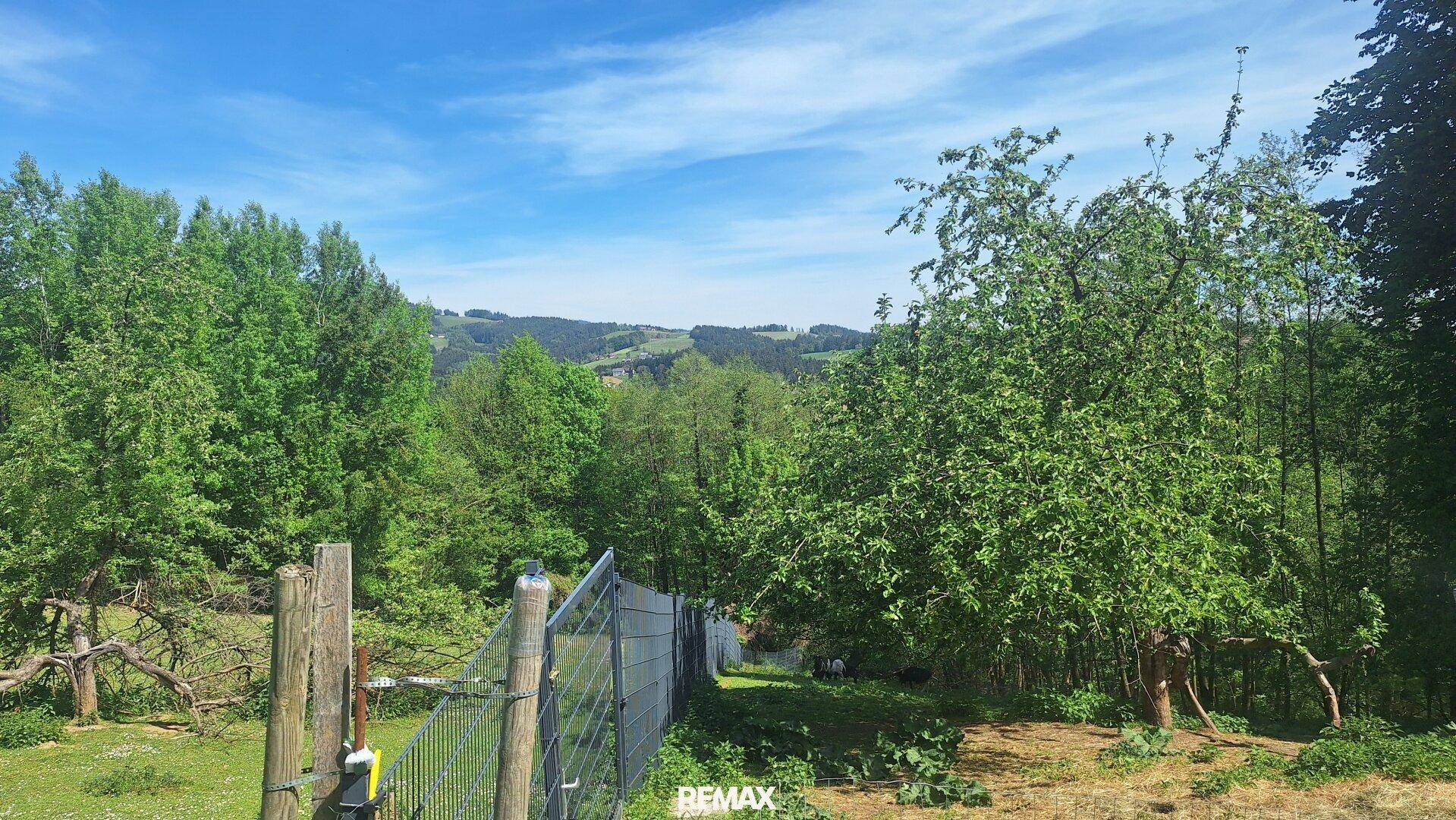 Weitläufige grüne Landschaft mit Bäumen und Hügeln unter einem klaren blauen Himmel.