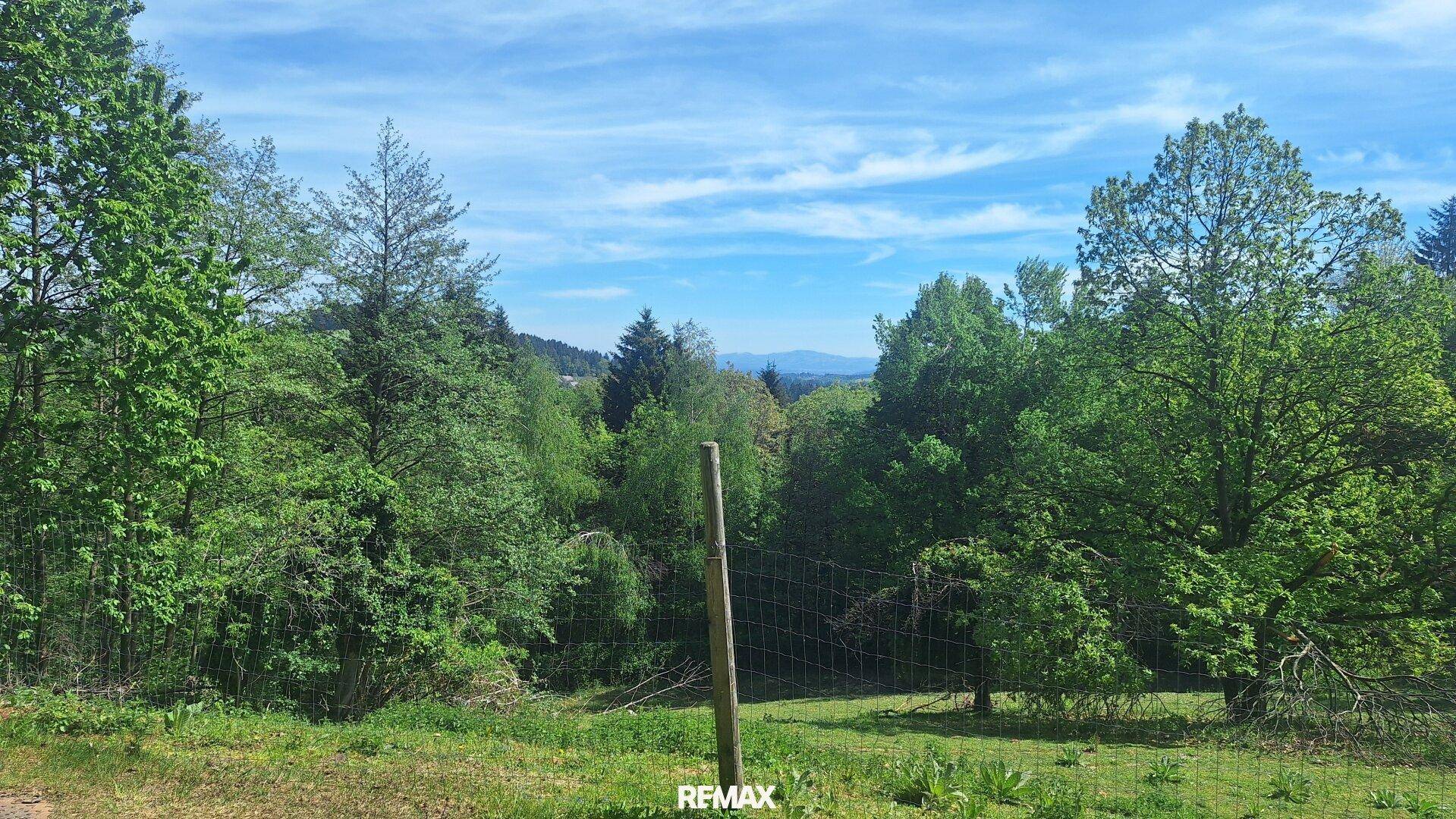 Panoramablick über eine bewaldete Hügellandschaft mit weitem Horizont unter blauem Himmel.