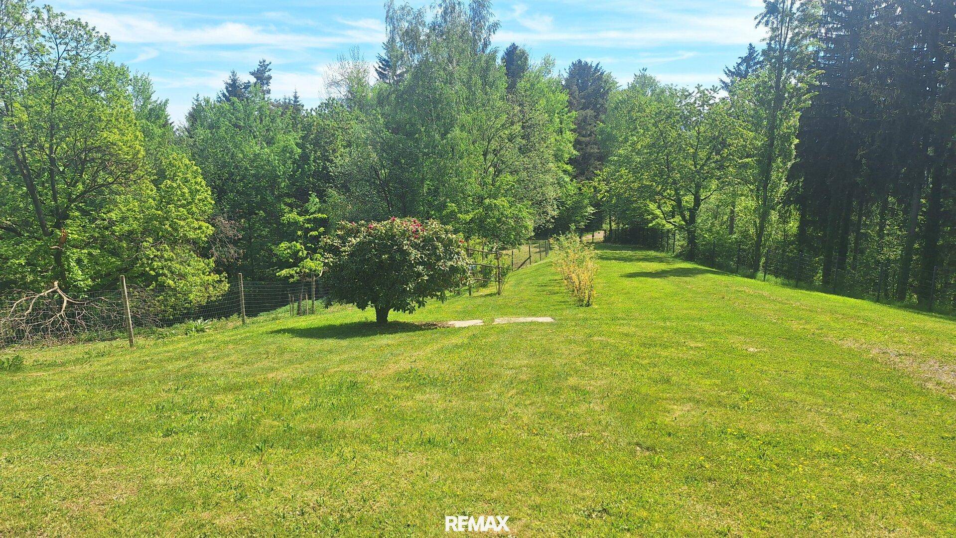 Großer, gepflegter Garten mit weitläufiger Rasenfläche und einzelnen Bäumen in sonniger Lage.