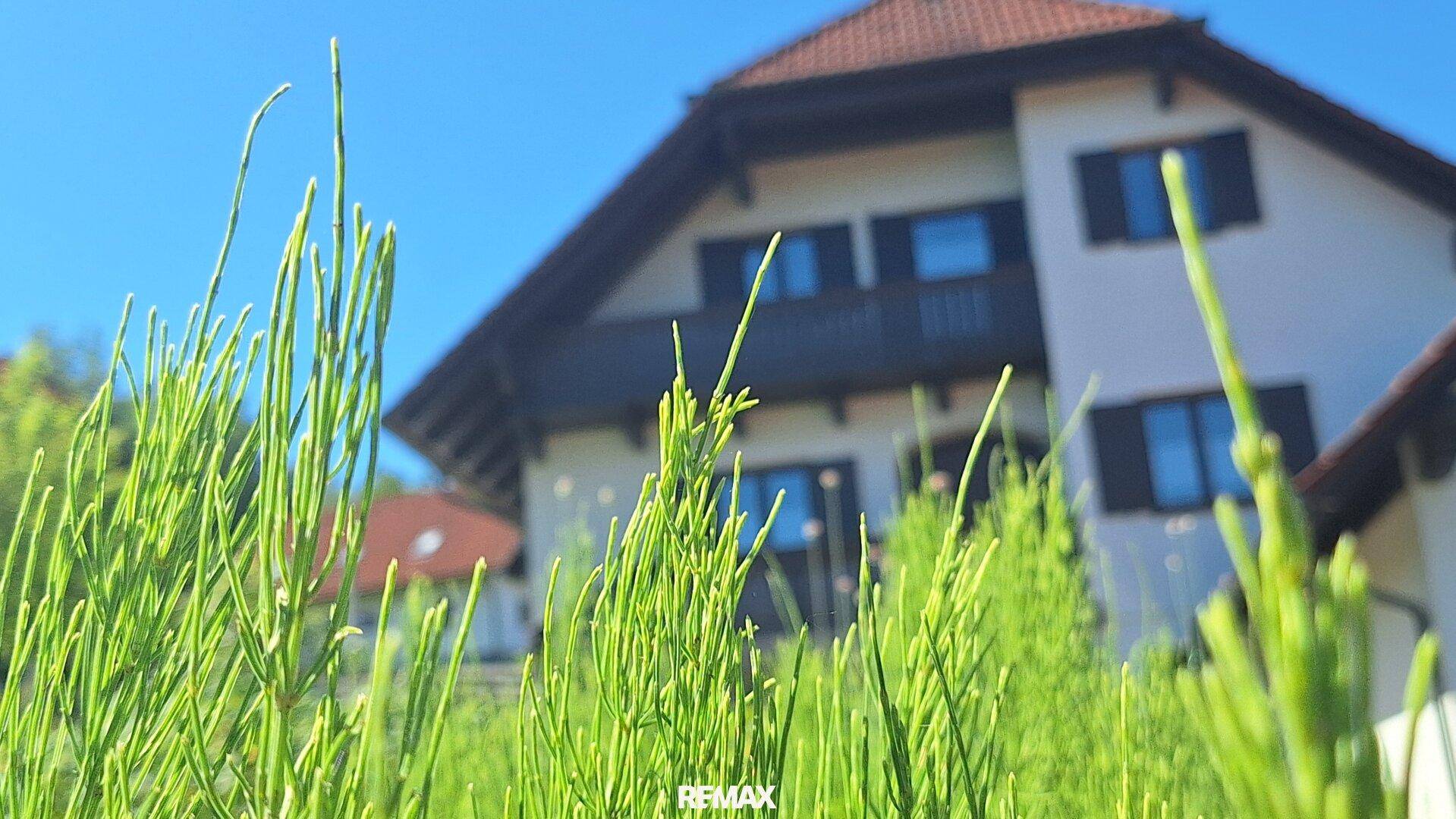 Ansicht des Hauses durch hohes grünes Gras, das die traditionelle Architektur hervorhebt.