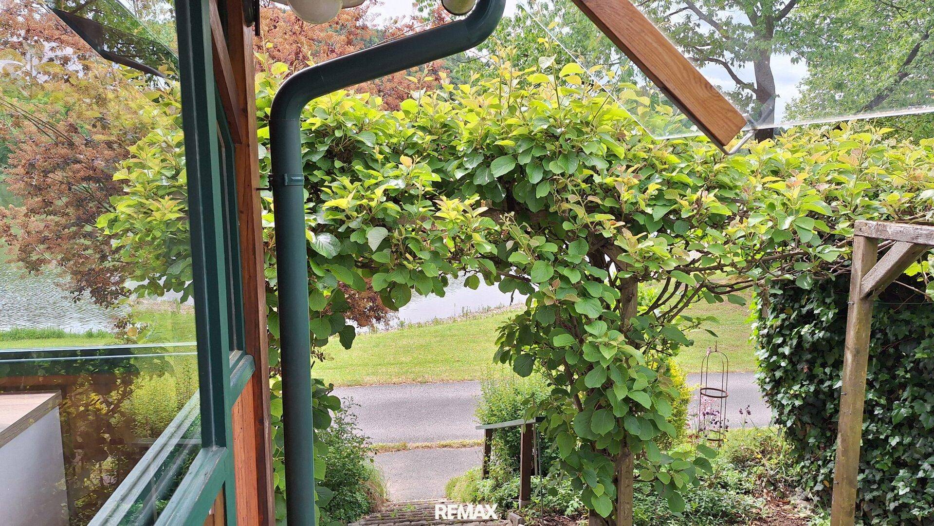 Treppe im Gartenbereich mit üppigem Grün und Blick auf den See.