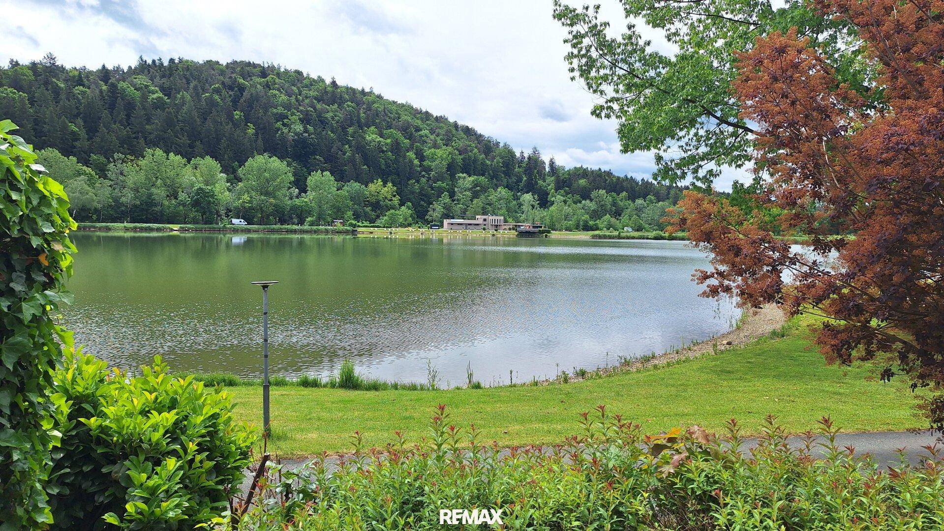 Malerischer Blick auf den See, umgeben von grünen Hügeln und Wäldern.