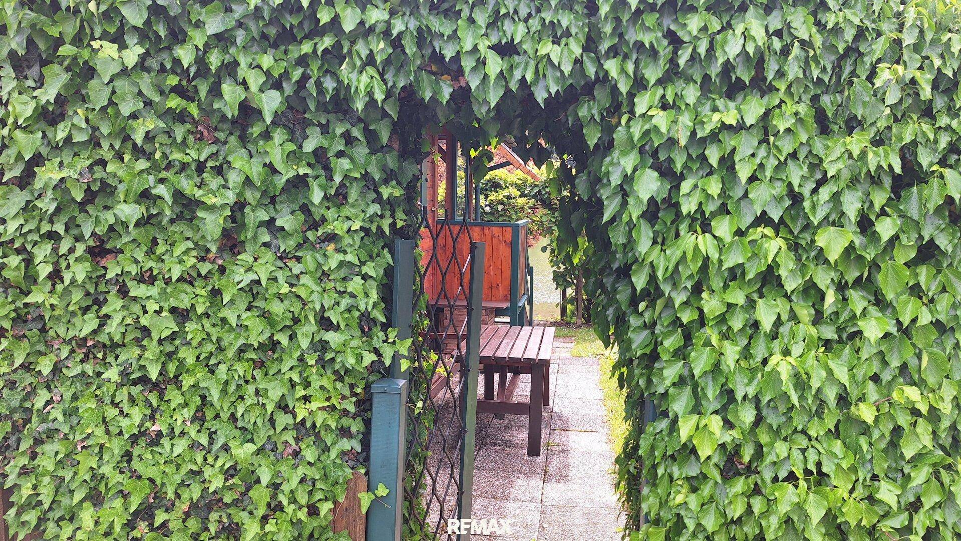 Efeubewachsener Torbogen führt zu einem gemütlichen Sitzbereich im Garten.