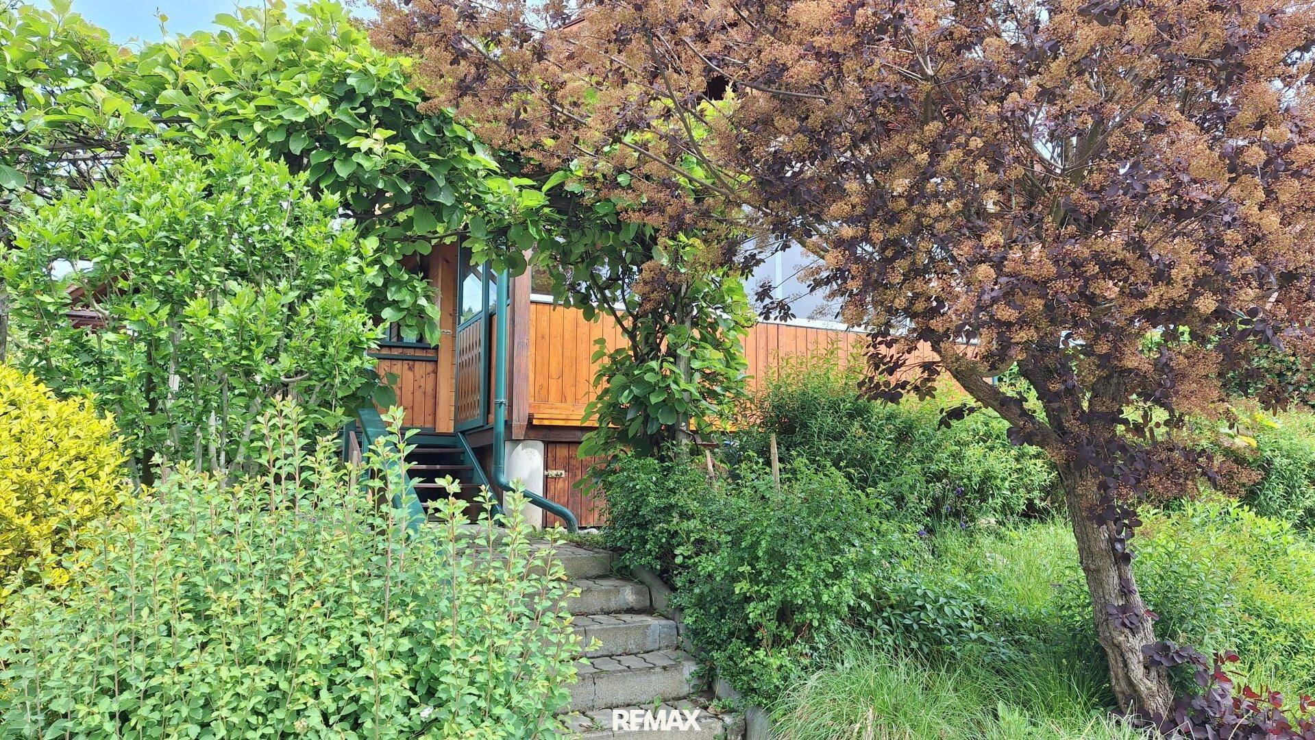 Steinstufen führen durch den üppigen Gartenbereich zum charmanten Holzhaus.