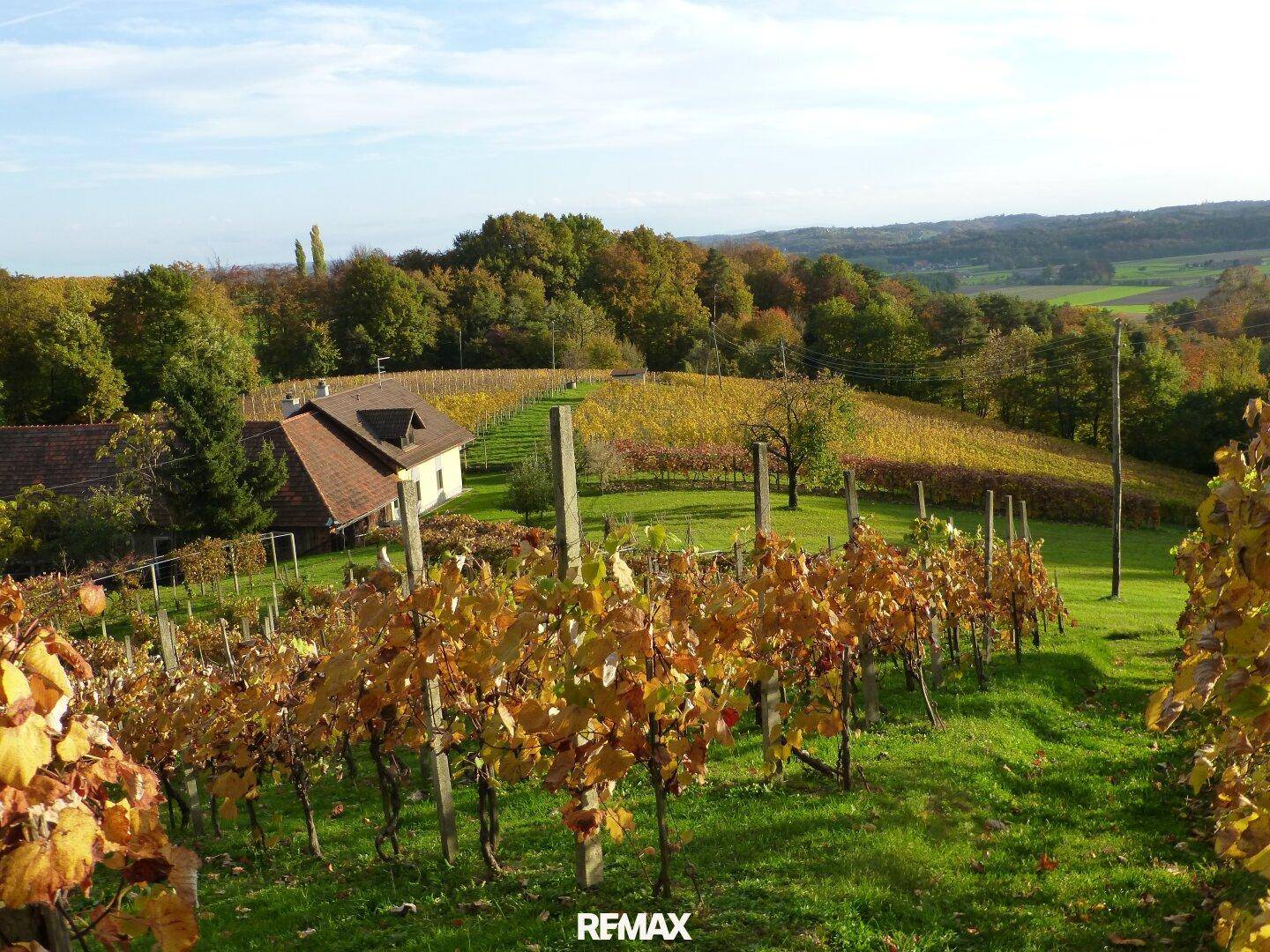 Malerische Weinberge in herbstlicher Pracht mit einem traditionellen Haus im Hintergrund und weitem Blick.