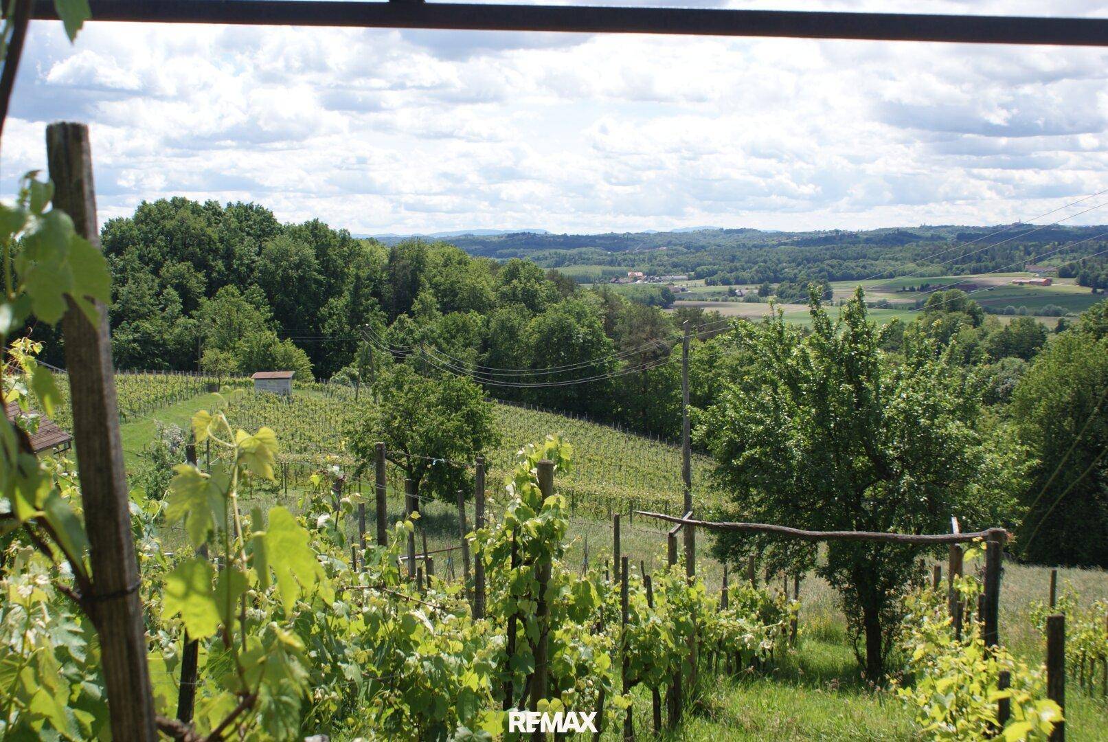 Grüne Weinberge und üppige Bäume erstrecken sich unter einem bewölkten Himmel mit weitem Ausblick.