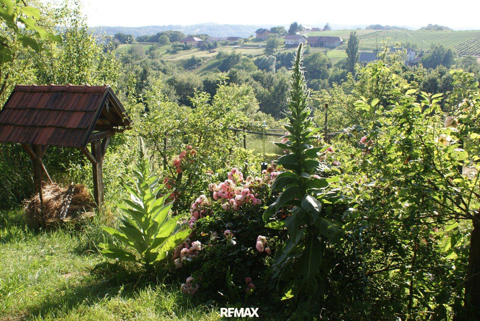 Üppiger grüner Garten mit blühenden Rosen und einem traditionellen Brunnen, mit weitem Blick ins Tal.