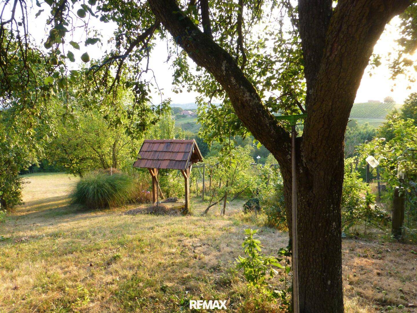 Sonniger Garten mit einem traditionellen Brunnen unter einem großen Baum, umgeben von Grün.