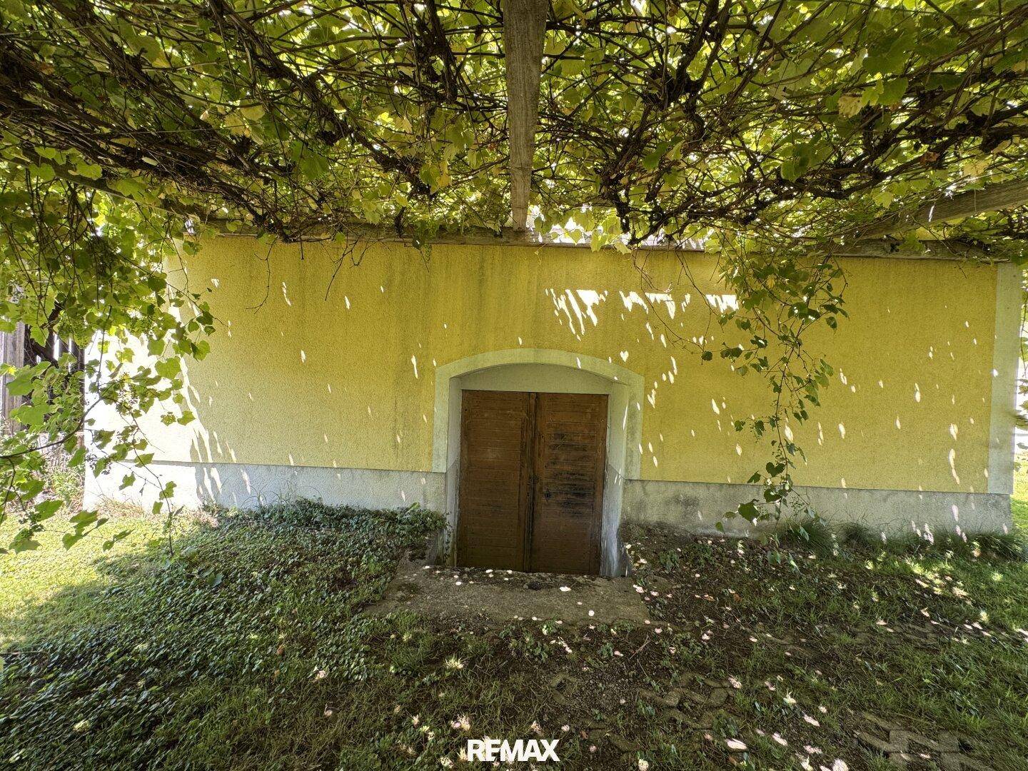 Alter Kellereingang, in einen Hügel gebaut und von üppigen grünen Weinreben überwachsen.