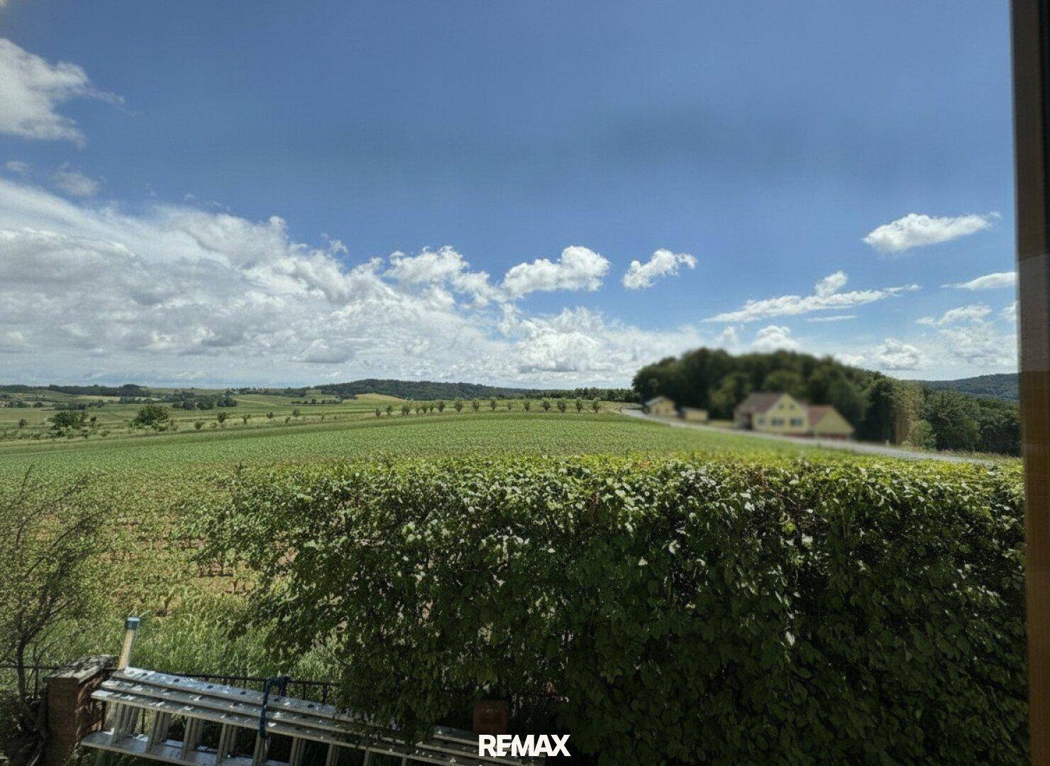 Weitläufiger Blick aus dem Fenster auf die grüne Landschaft mit Feldern und einer Hecke im Vordergrund.