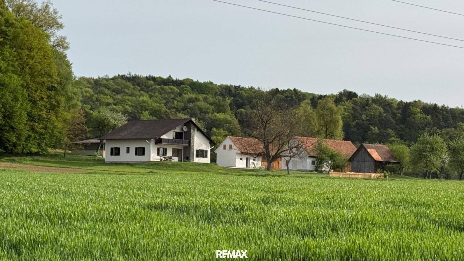 Anwesen eingebettet in eine grüne Wiese mit Wald im Hintergrund unter klarem Himmel.