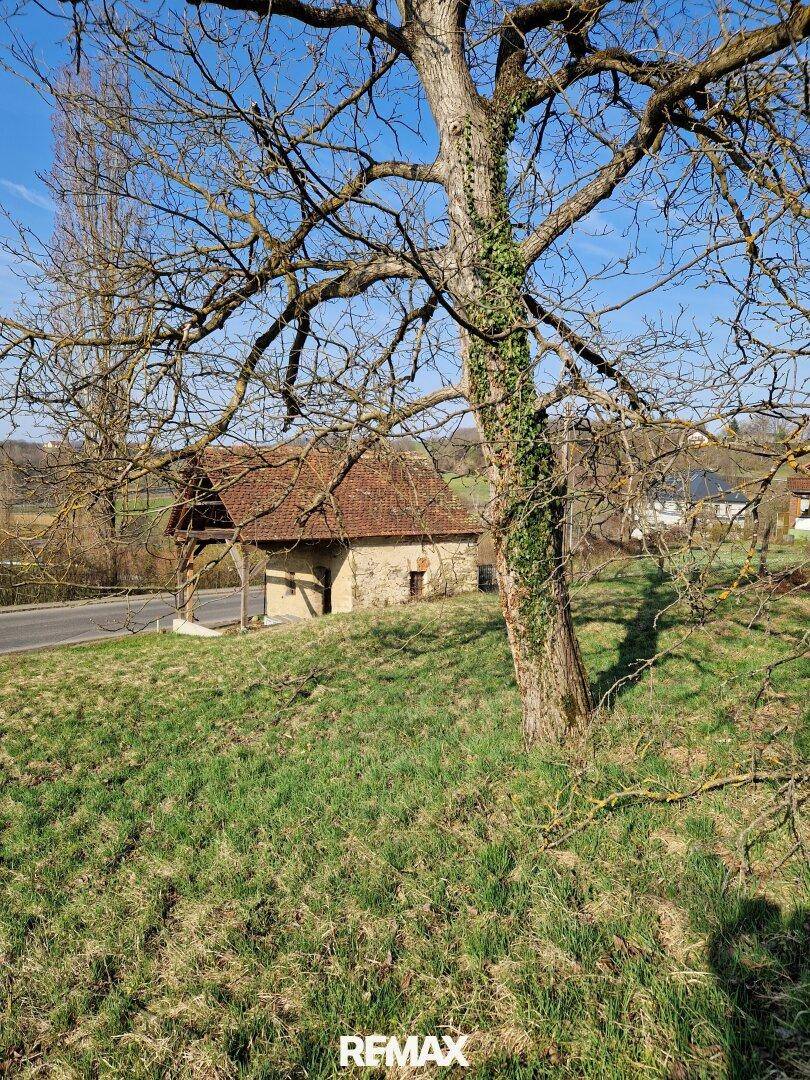 Historisches Steingebäude mit Ziegeldach, umgeben von einer grünen Wiese und einem alten Baum.