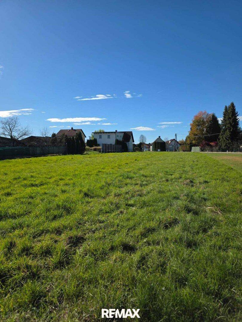 Weitläufige grüne Wiese mit Häusern im Hintergrund unter strahlend blauem Himmel.