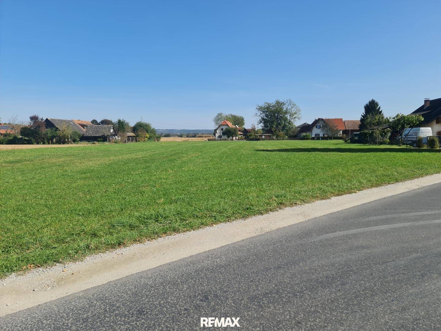 Weitläufiges grünes Feld neben einer Straße mit ländlicher Bebauung im Hintergrund unter blauem Himmel.