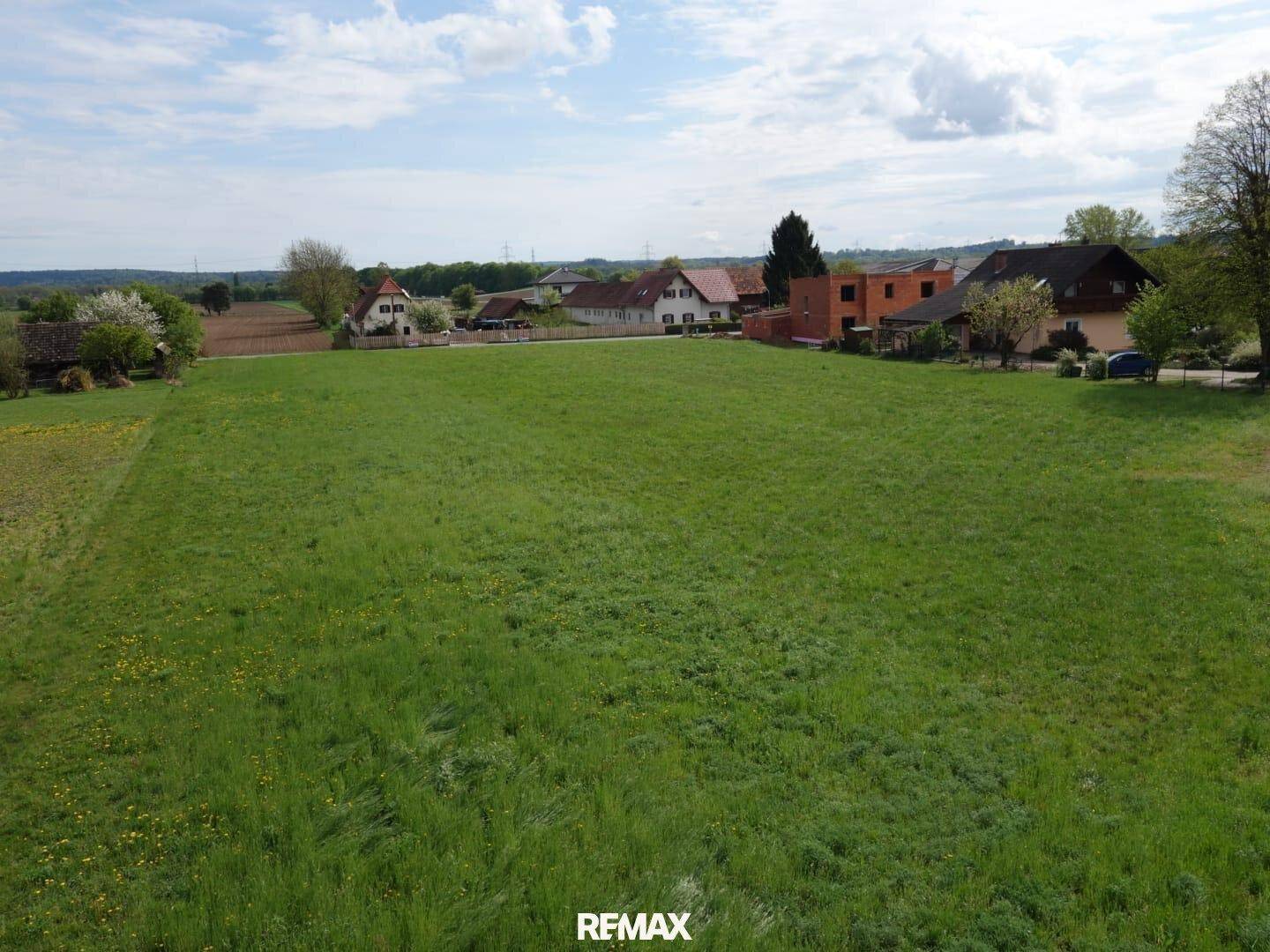 Luftaufnahme eines großen grünen Feldes mit vereinzelten Häusern und Bäumen in der Ferne.