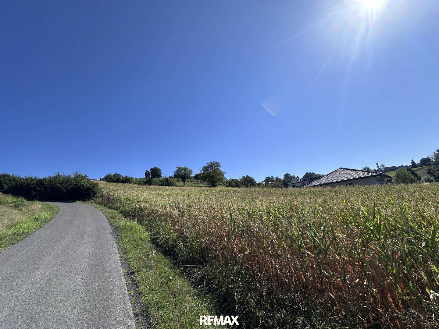 Sonnige ländliche Landschaft mit weiten Feldern und einem Weg unter strahlend blauem Himmel.