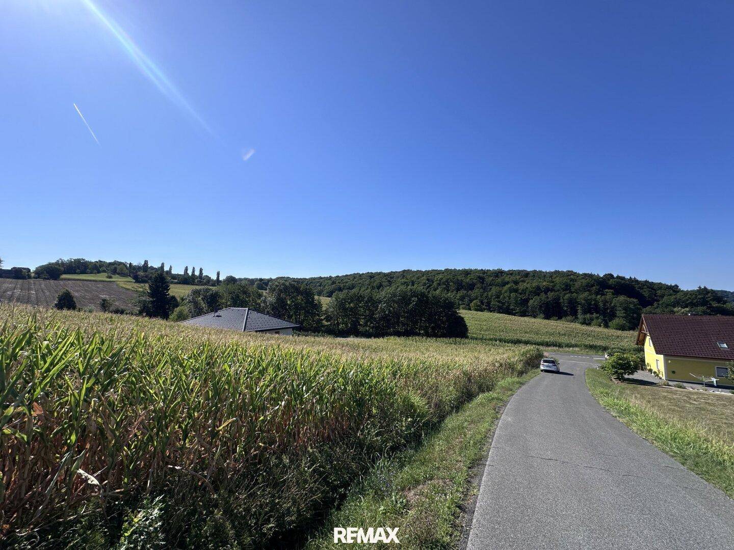 Weitläufige grüne Landschaft mit Feldern, einem Weg und Häusern in der Ferne an einem sonnigen Tag.