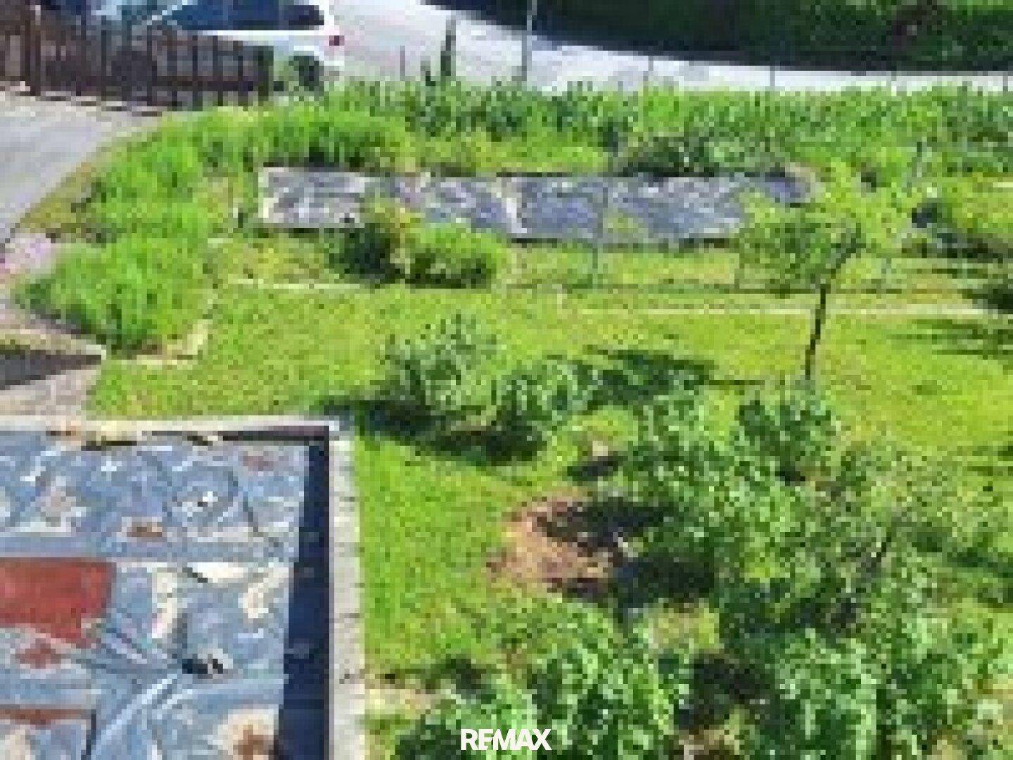 Gepflegter Gartenbereich mit Rasenflächen, Sträuchern und Beeten, ideal für Entspannung im Freien.