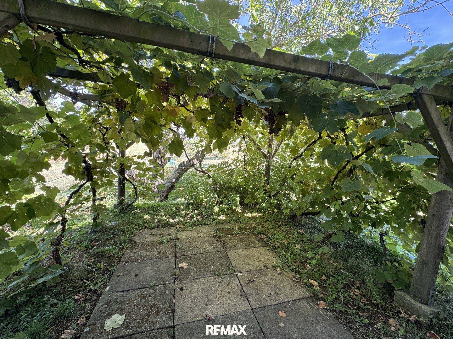 Steinplattenweg unter einer bewachsenen Pergola, die Schatten im Garten spendet.