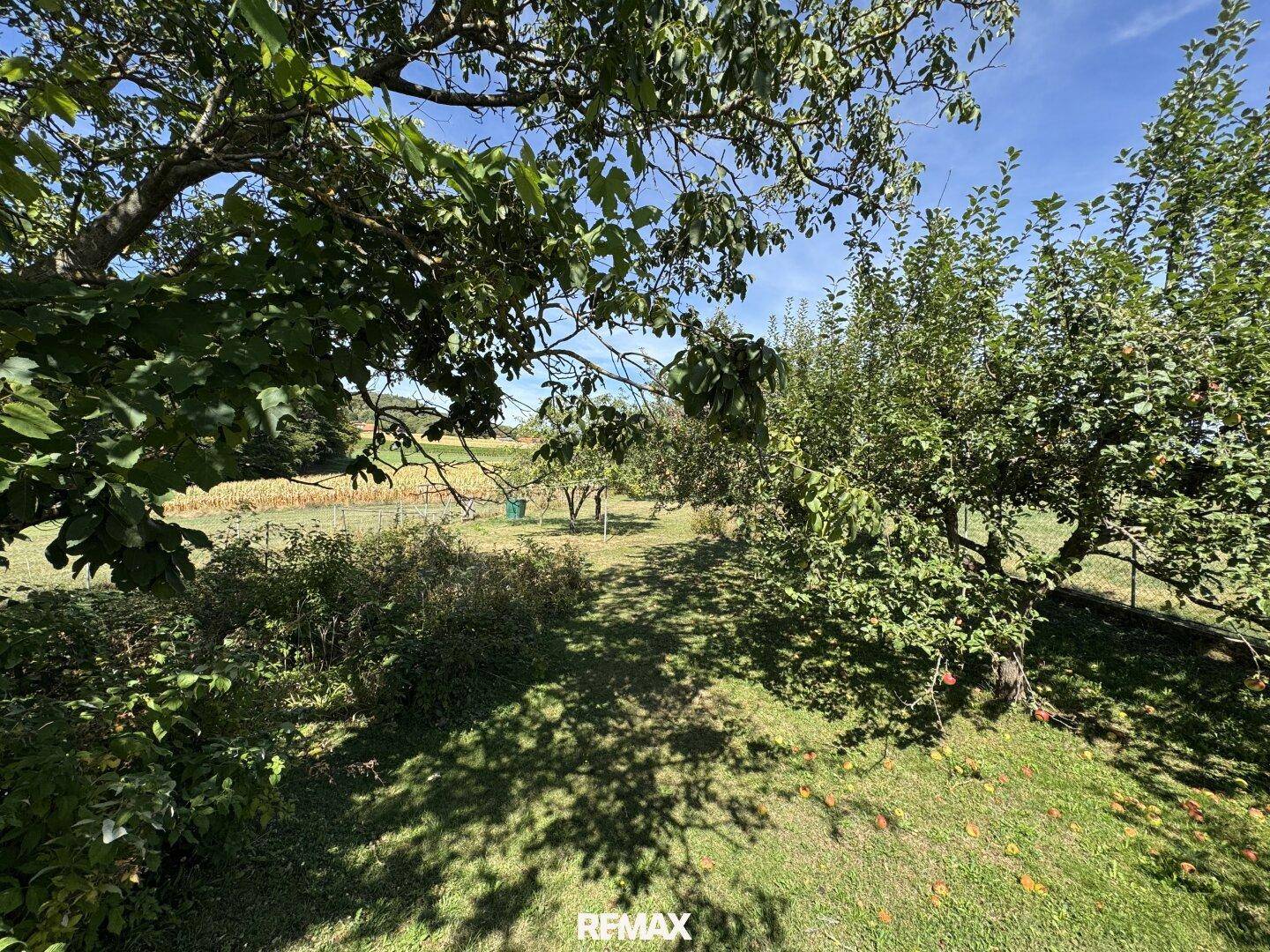 Großer Garten mit Obstbäumen und weitem Blick auf die umliegende Landschaft.