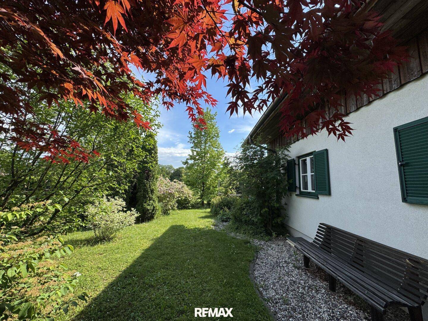 Sonniger Gartenbereich mit einer Holzbank, umgeben von üppigem Grün und Bäumen.