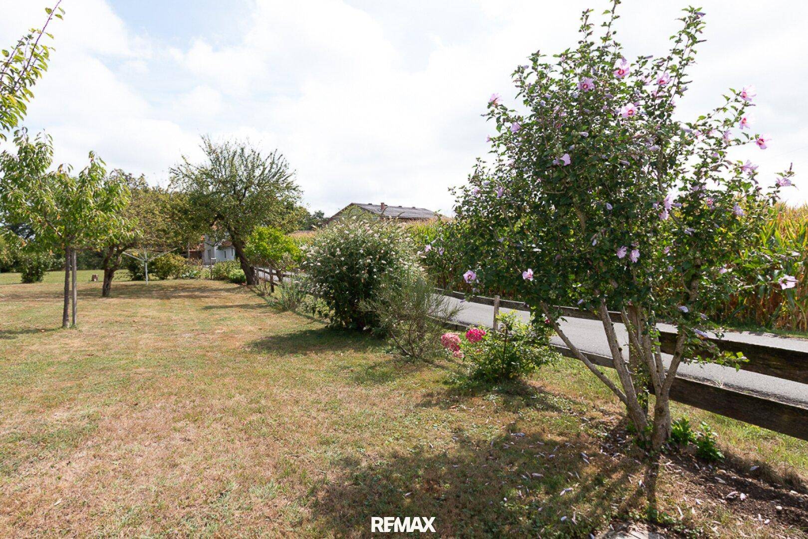 Gepflegter Garten mit Rasen, blühenden Sträuchern und einem Holzzaun.