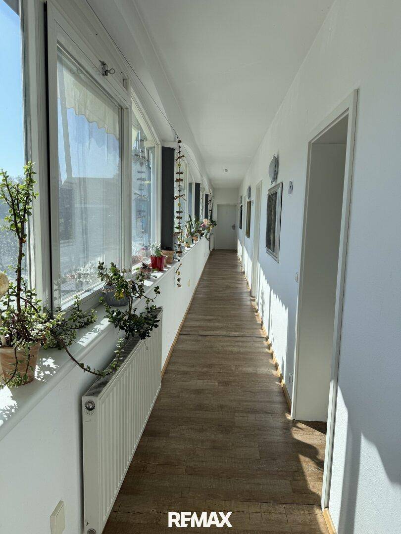 Langer, heller Flur mit vielen Fenstern, Pflanzen auf der Fensterbank und Heizkörpern.