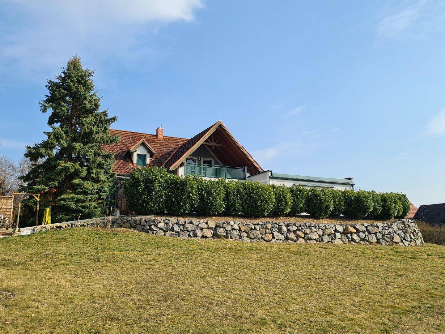 Ansicht des Hauses von der Wiese aus, mit gepflegter Hecke und großem Nadelbaum im Vordergrund.