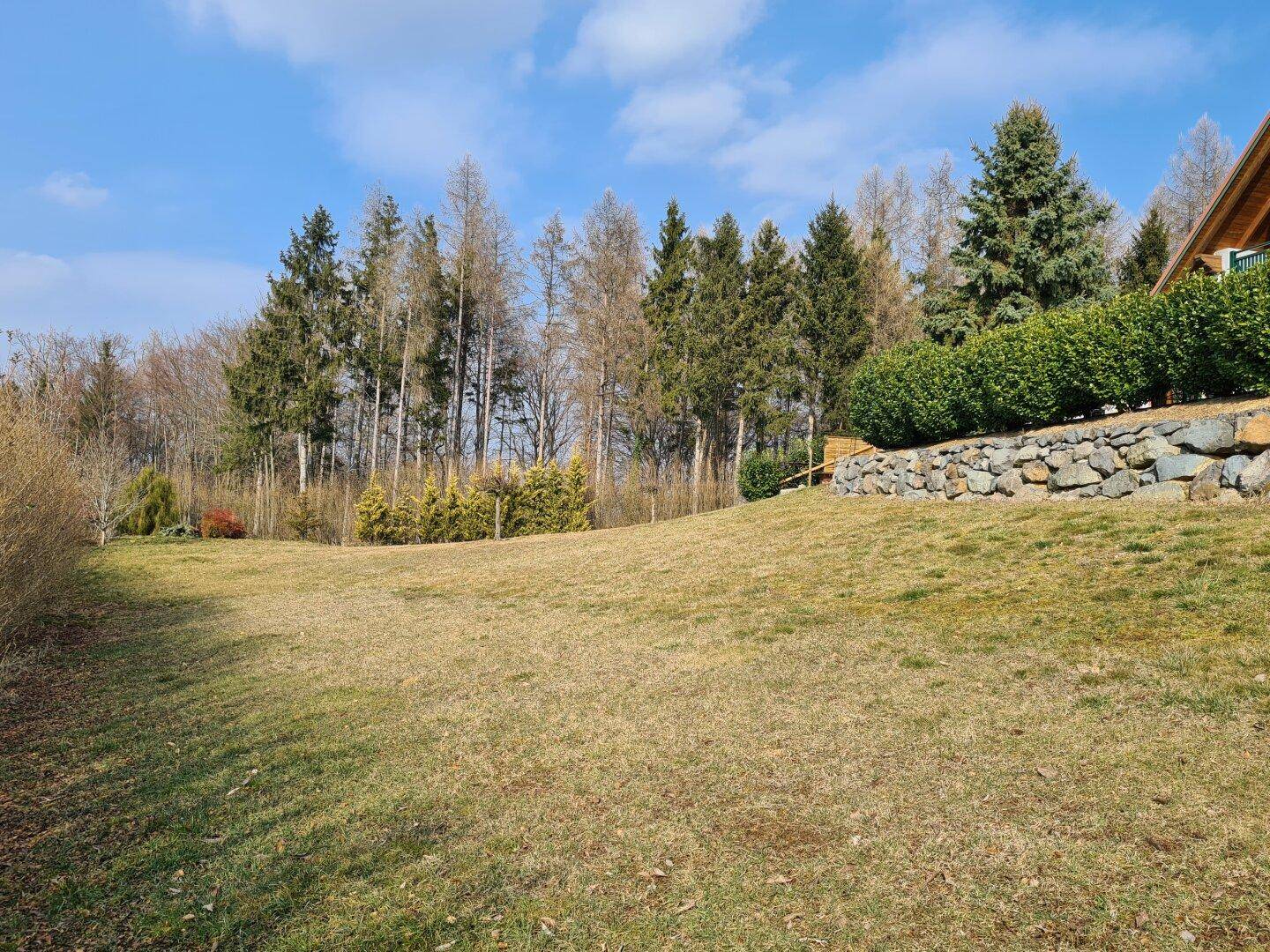 Weitläufiger Gartenbereich mit Rasenfläche und altem Baumbestand im Hintergrund.