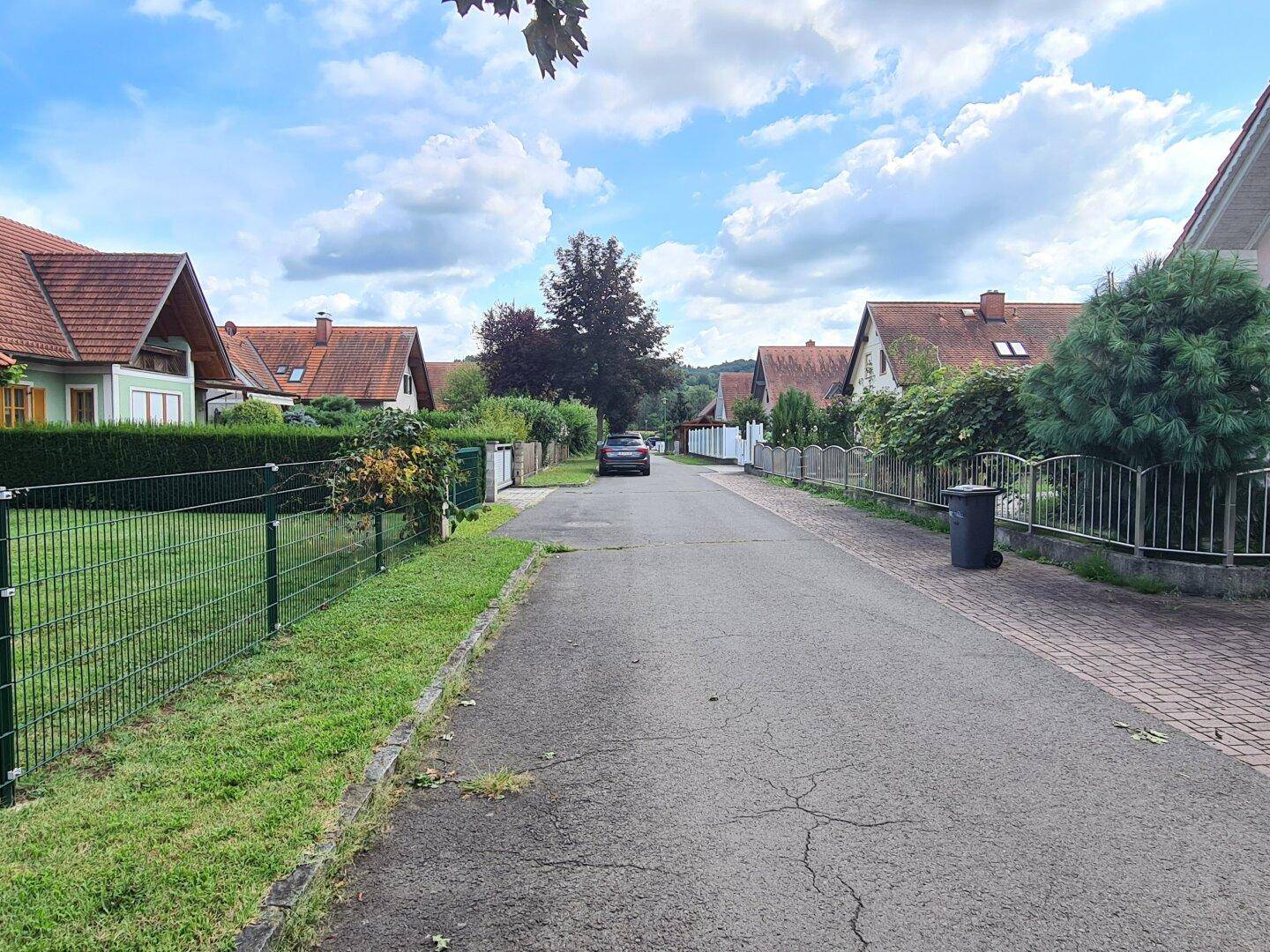 Ruhige Wohnstraße mit Einfamilienhäusern und viel Grün in ländlicher Umgebung.