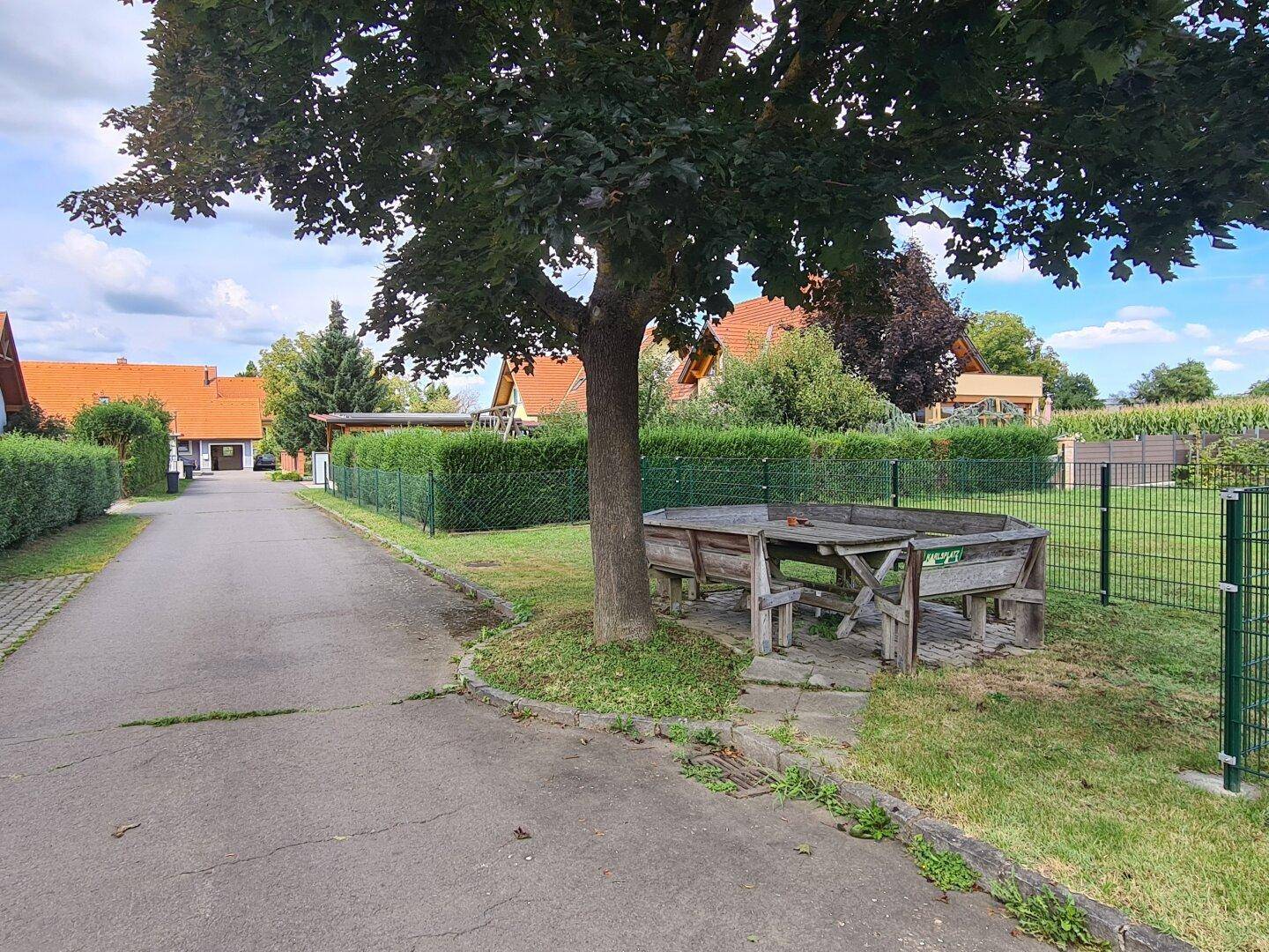 Ländliche Straße mit Bäumen und einem öffentlichen Sitzbereich unter einem Baum.