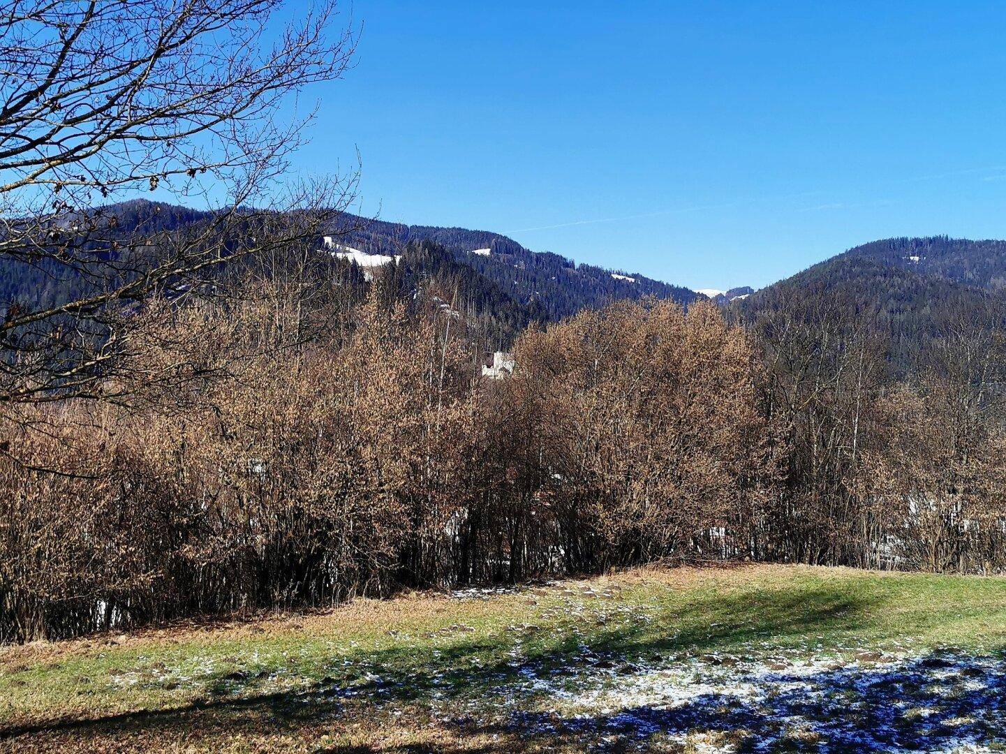Natürliche Landschaft mit kahlen Bäumen und schneebedeckten Bergen unter strahlend blauem Himmel.