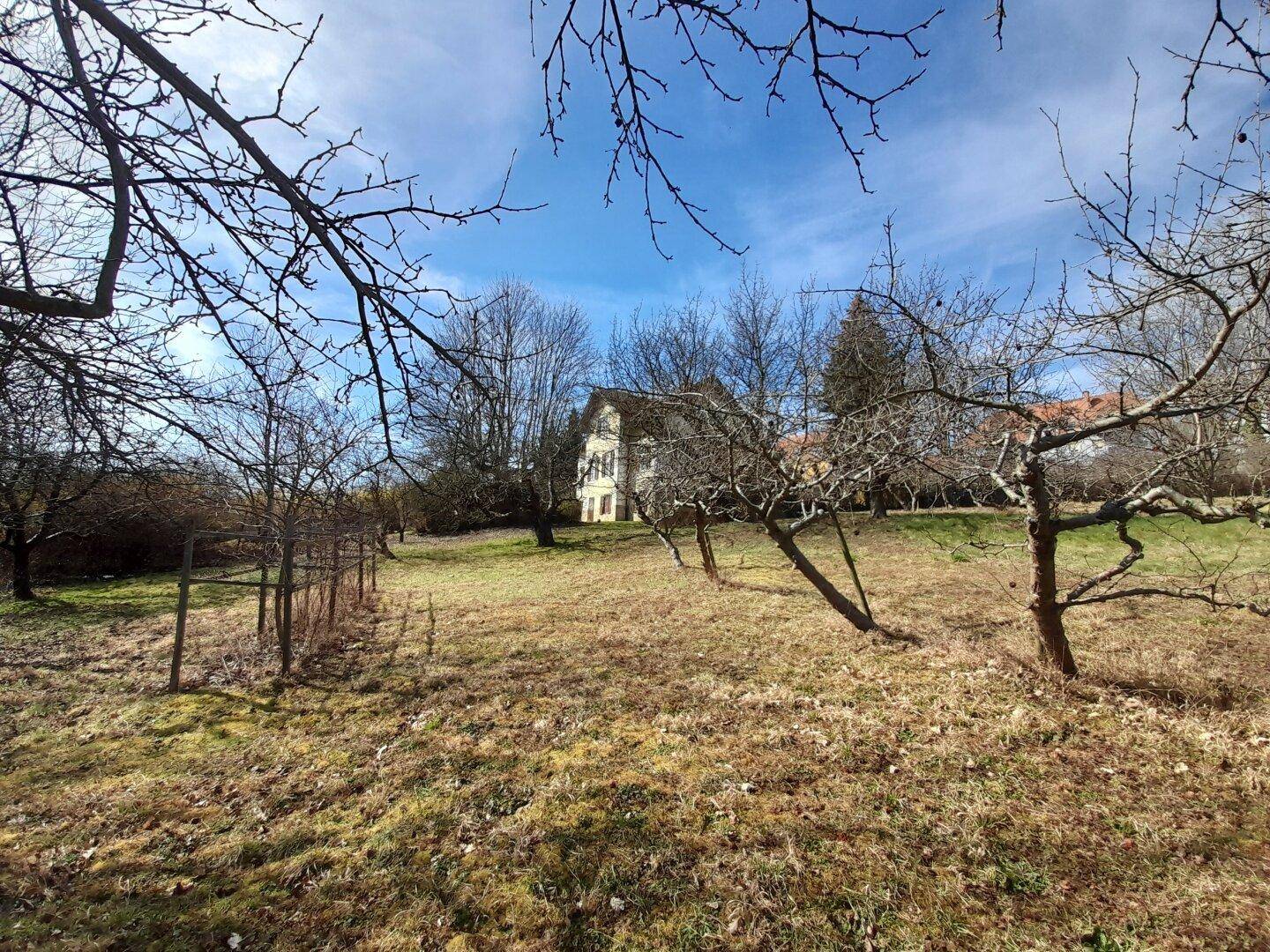 Blick über einen weitläufigen Garten mit kahlen Bäumen und einem historischen Gebäude im Hintergrund.