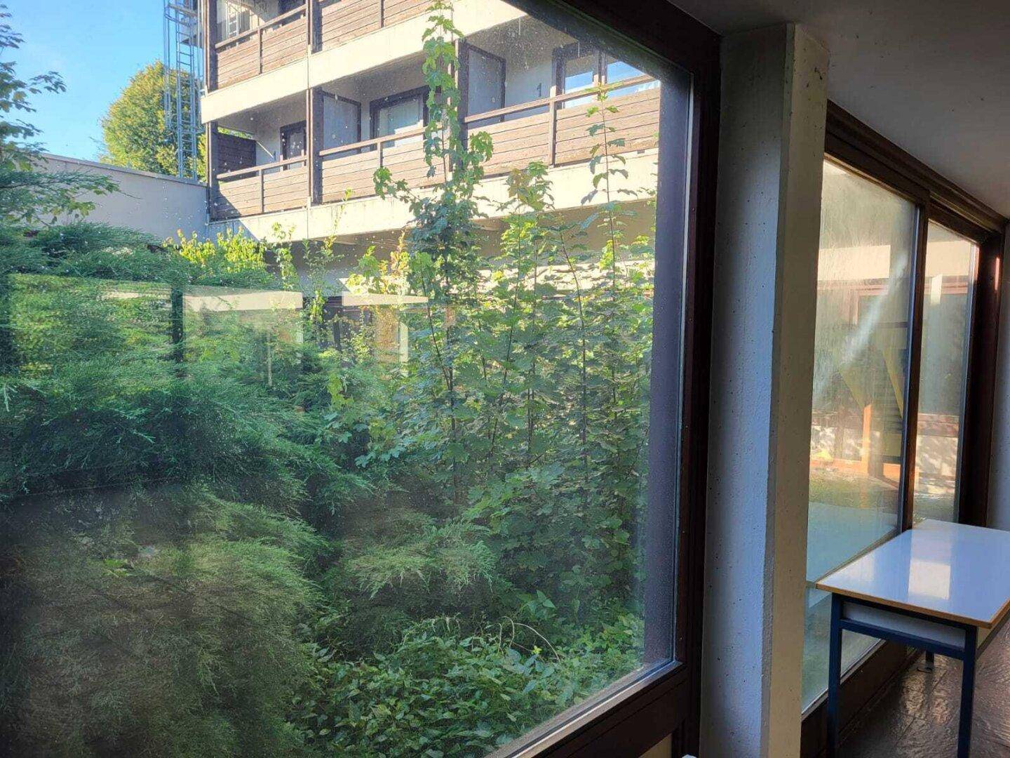 Blick aus einem Fenster auf eine grüne Außenanlage mit Bäumen und einem angrenzenden Gebäude.