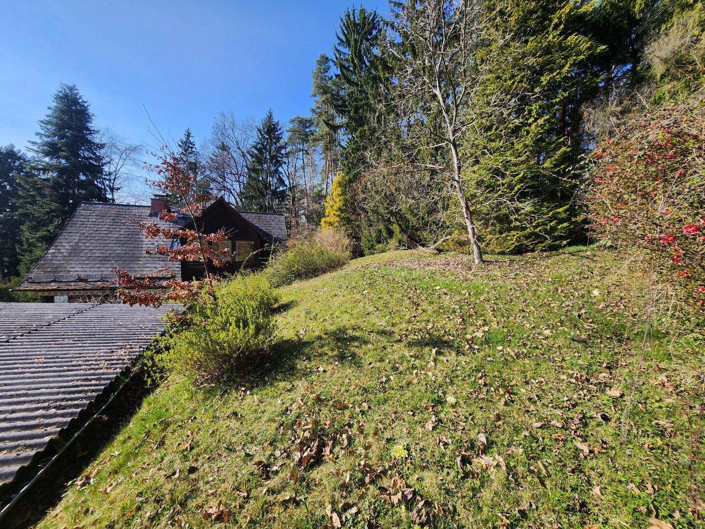 Grüne Hanglage neben einem Dach, mit dem Haus und weiteren Bäumen im Hintergrund.