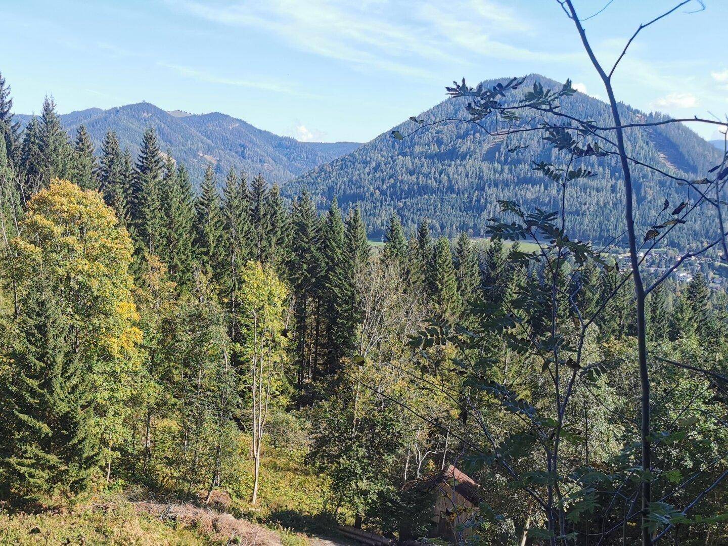 Baugrundstück mit Aussichtslage im Ferienwohngebiet von Spital am Semmering - Ansicht 3