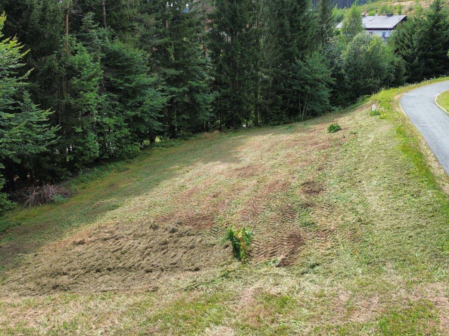 Weitläufige Grünfläche des Grundstücks mit angrenzendem Wald und einer kleinen Zufahrtsstraße.
