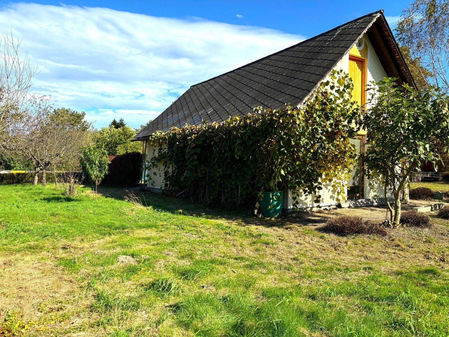 Rückseite des Hauses mit üppiger Begrünung, großem Garten und Blick in die Natur.