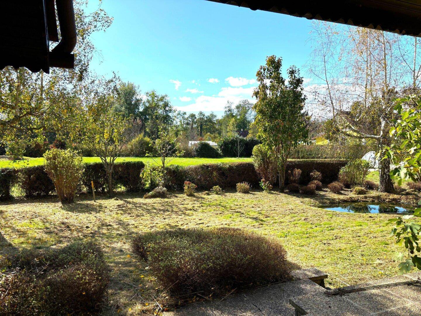 Weitläufiger Garten mit Rasenfläche, Sträuchern und einem kleinen Teich unter blauem Himmel.