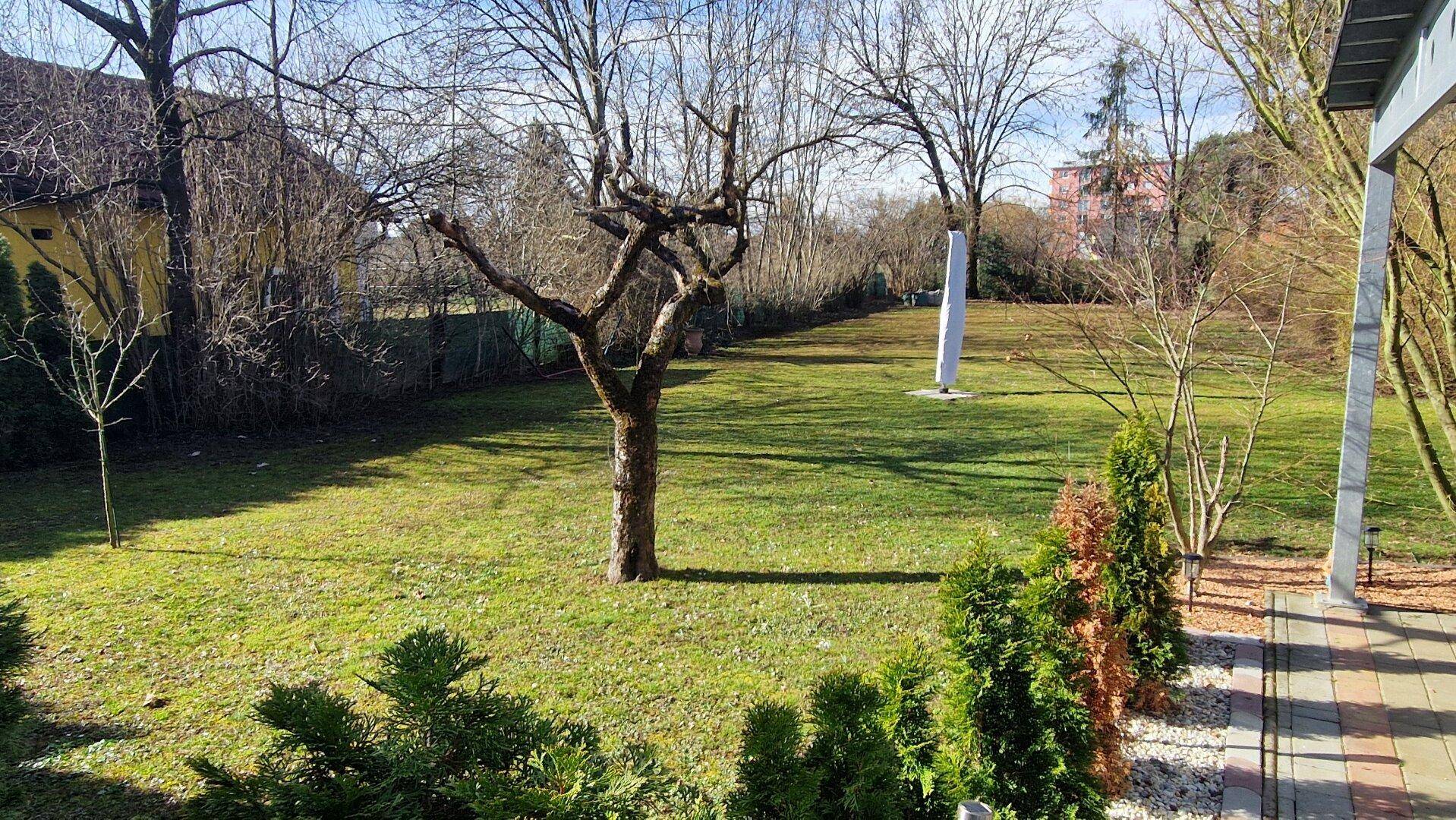 Großer, gepflegter Garten mit Rasenfläche und mehreren Bäumen unter blauem Himmel.