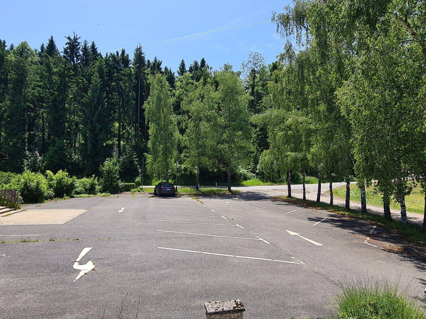 Slide 6