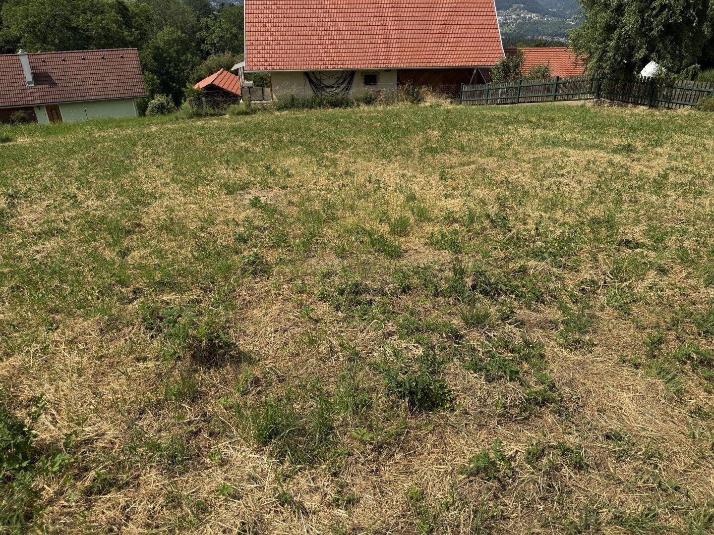 Grüne Wiese im Vordergrund mit einem Haus und rotem Satteldach im Hintergrund unter blauem Himmel.