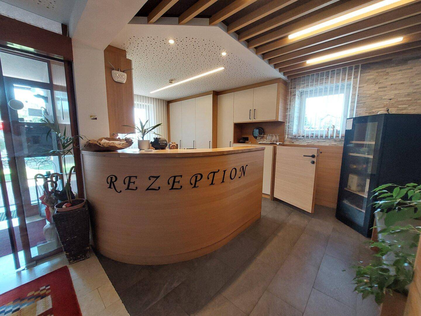 Empfangsbereich mit einer geschwungenen Holztheke, modernen Deckenleuchten und Steinwandakzenten.