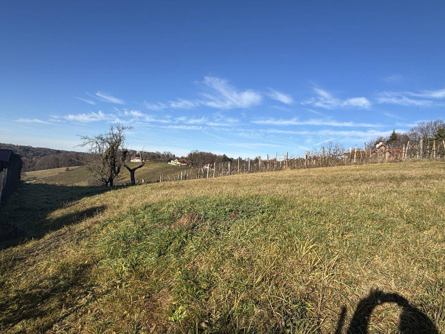 Apartment in Oberlamm - View 2