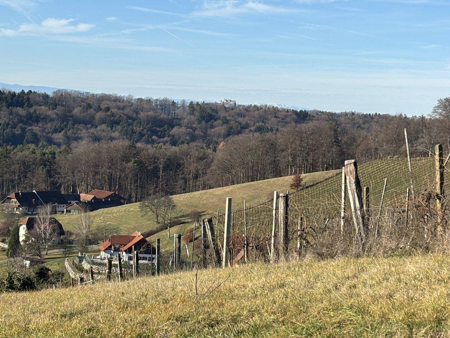 Apartment in Oberlamm - View 4