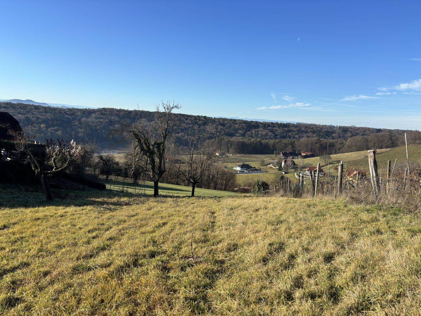 Apartment in Oberlamm - View 5
