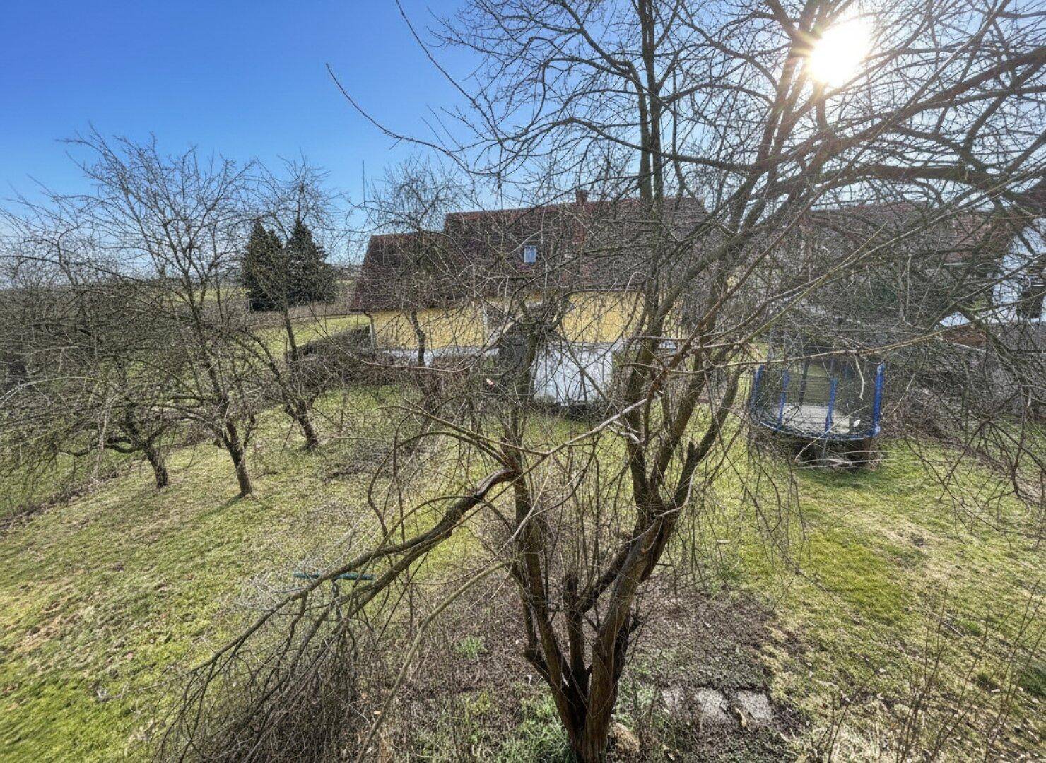 Großer Garten mit Obstbäumen und Trampolin an einem sonnigen Frühlingstag.