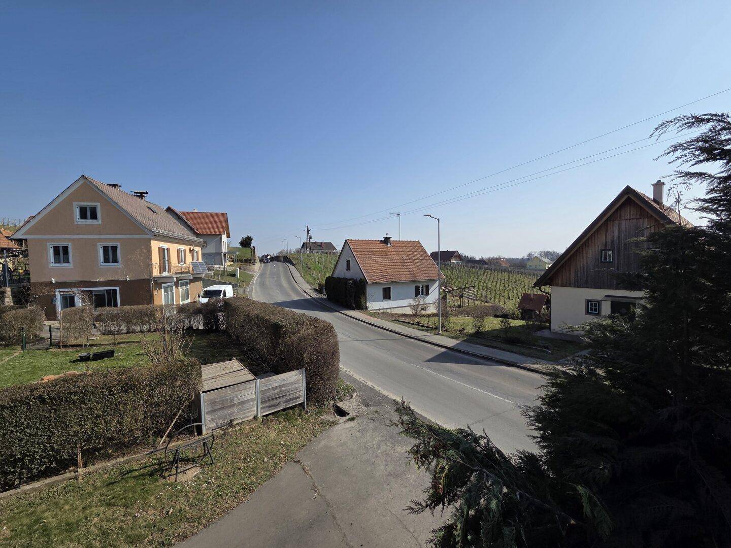 Ländliche Straße mit Wohnhäusern und Weinbergen in der Ferne unter blauem Himmel.